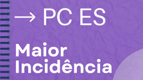 PC ES – Legislação com Maior Incidência